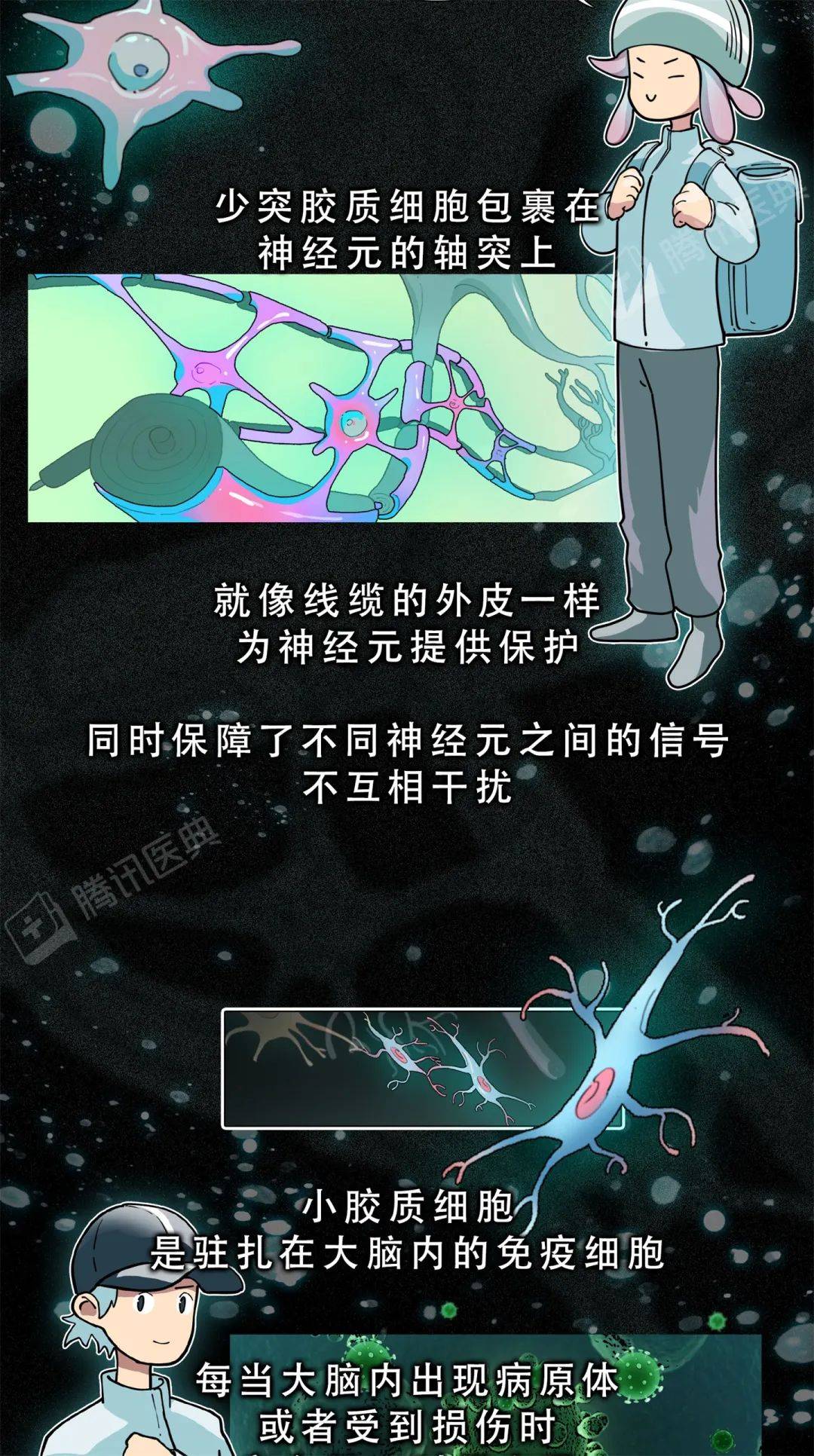 醫典|大腦里被稱作“膠水”的細胞，關鍵時刻會“豁出命”救你