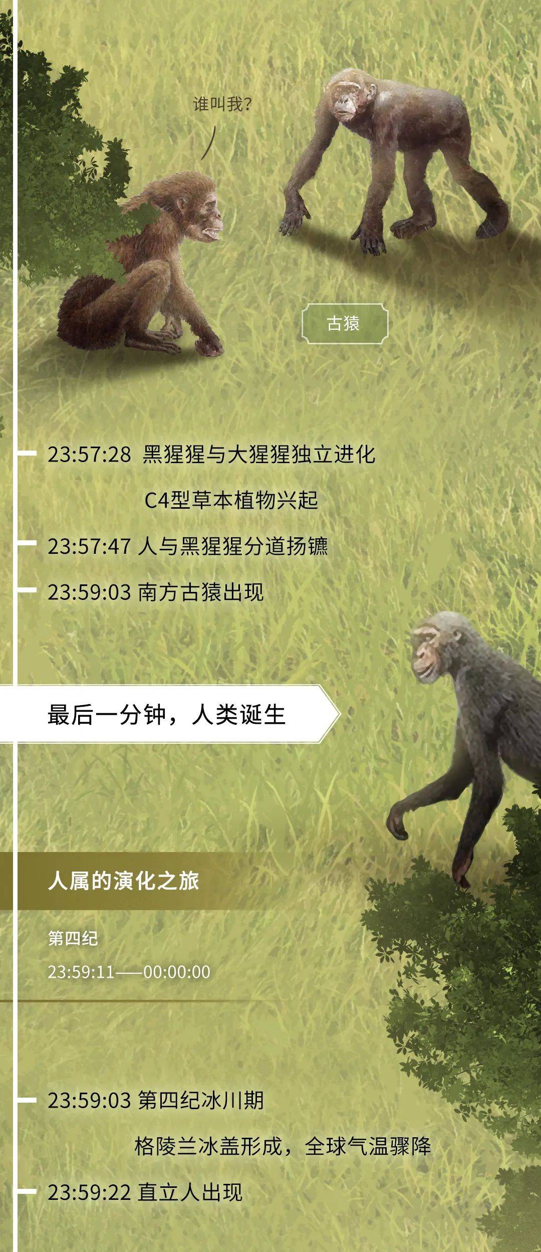 基因|如果把地球历史压缩成24小时会怎么样？