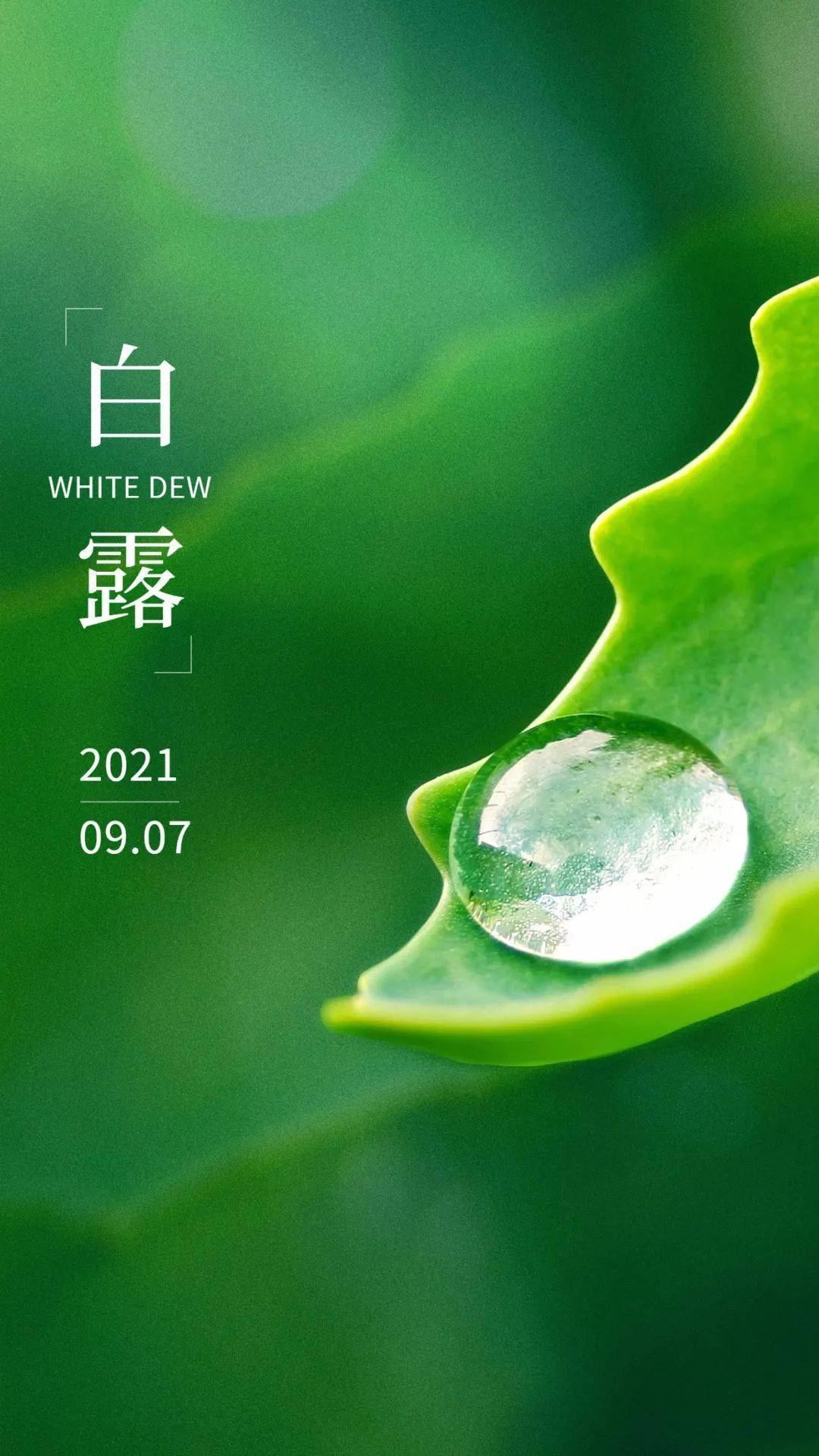 明天迎白露本周天气不错