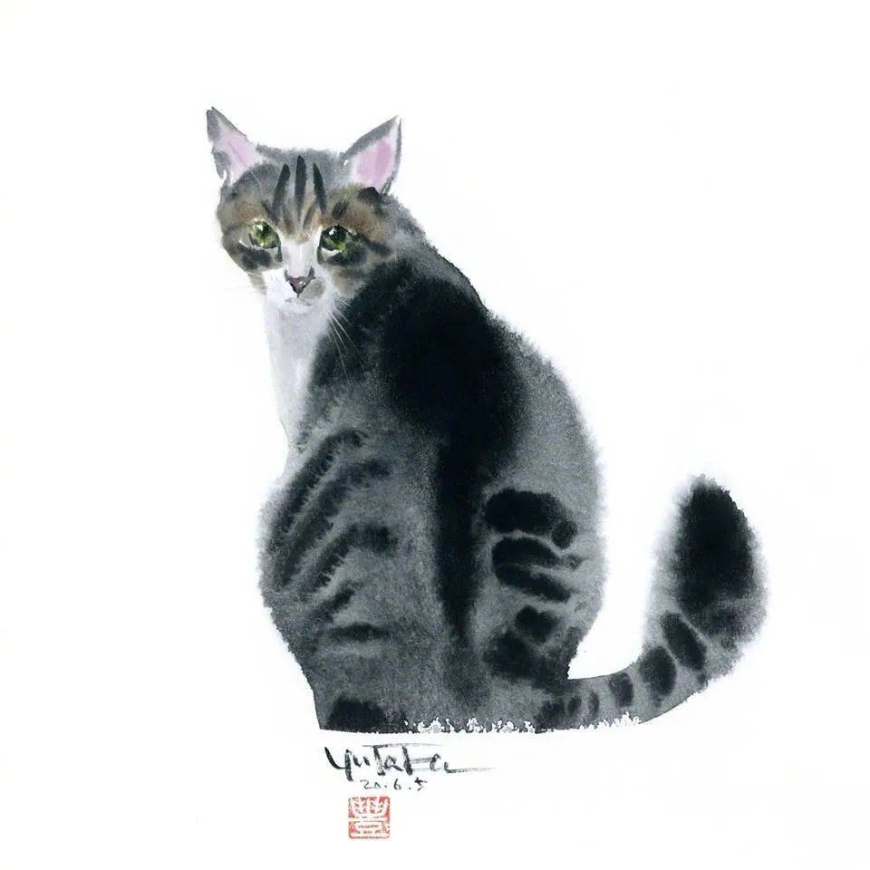水彩画|水彩小猫咪​​​​_搜狐网