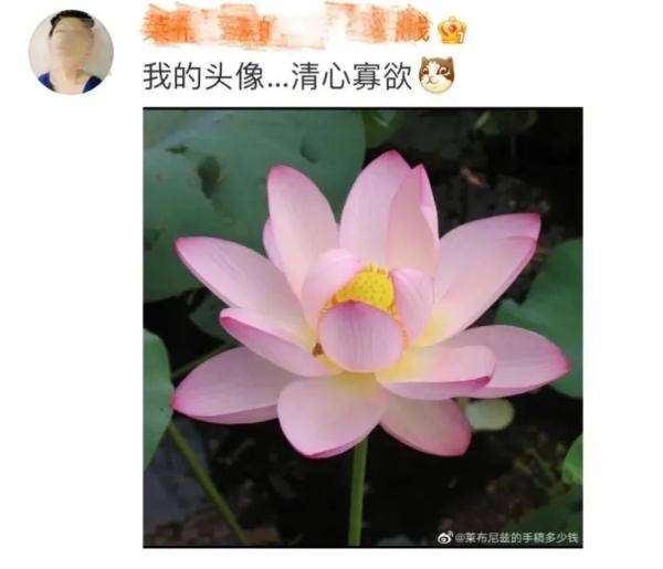 功能|微信头像，还有这么个功能