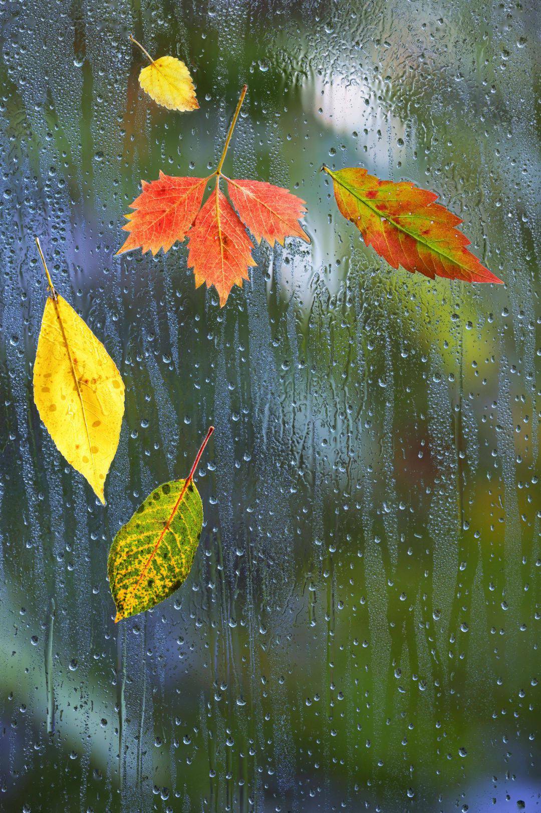 一场秋雨一场寒整首诗（秋雨的七言绝句）