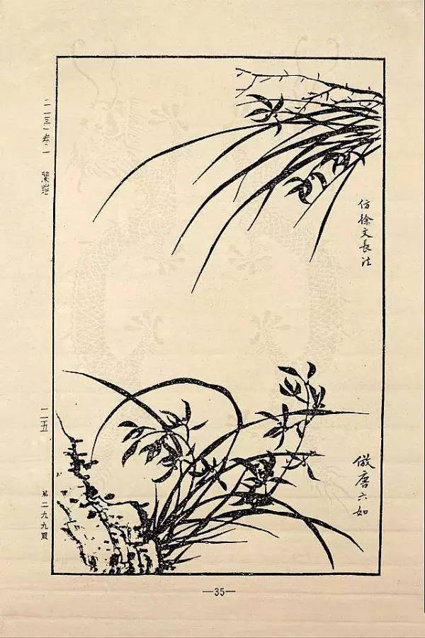 传世经典—芥子园画谱之兰谱