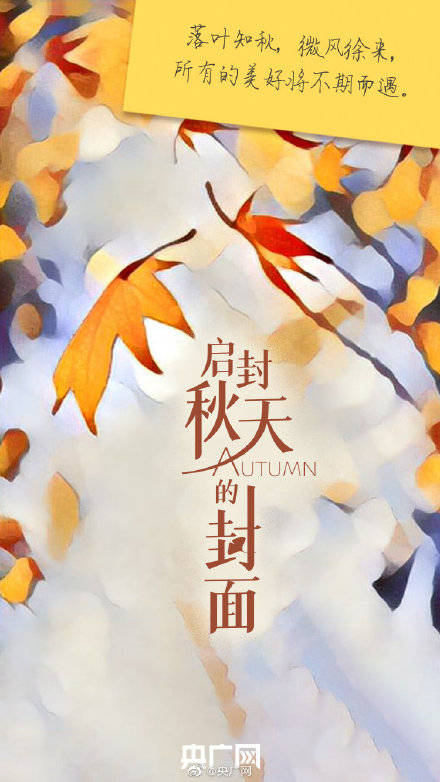 启封|今日白露，一起启封秋天的封面