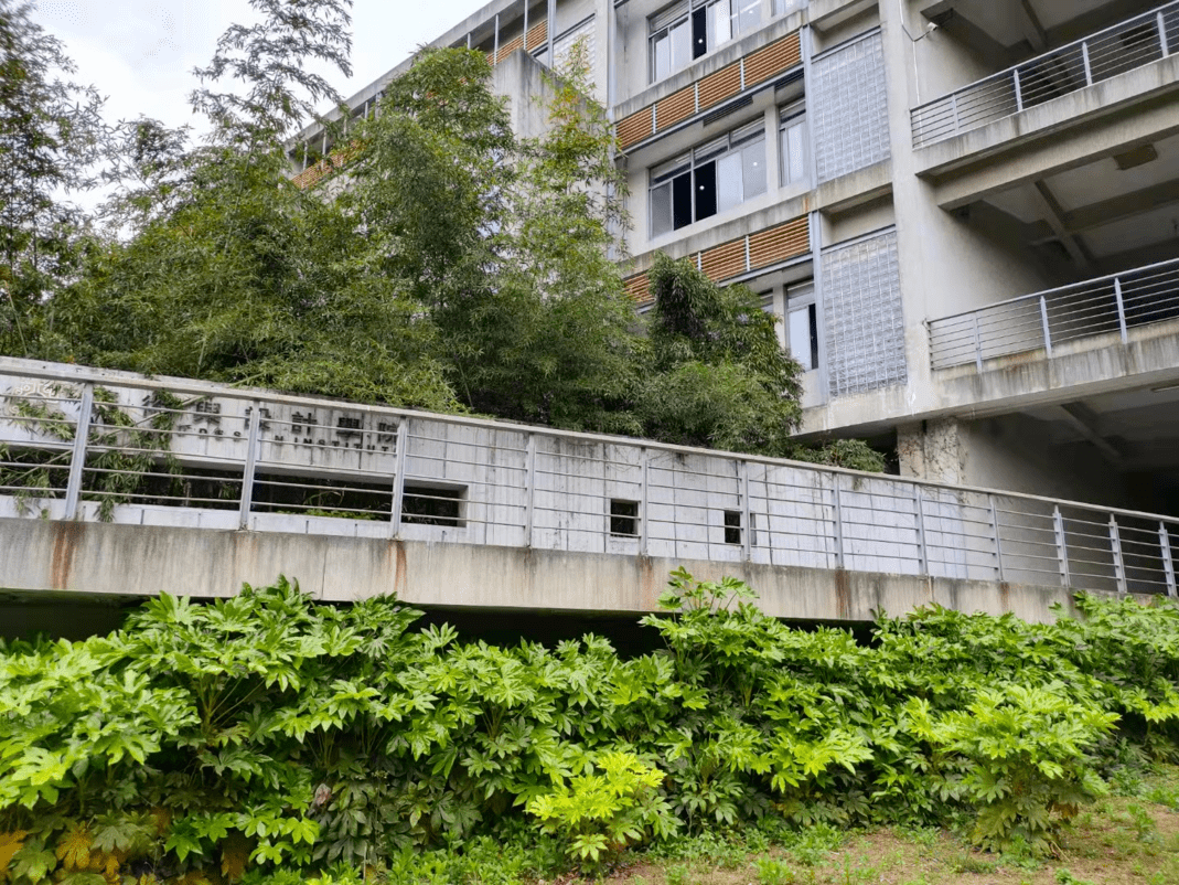 艺设风景亲爱的21级新生们,欢迎你们加入艺术与设计学院大家庭!