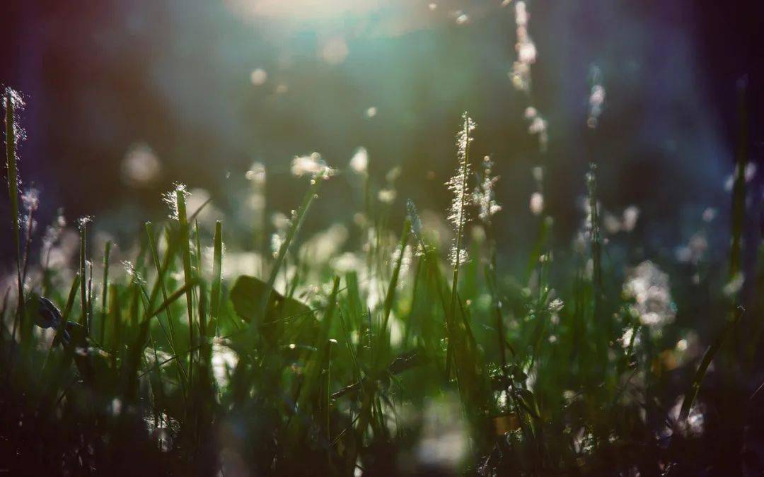 afe18f55ec3141e9b4ea964906fe6a0a.jpeg