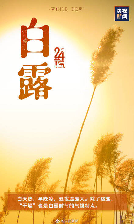 时节|今天白露，最舒适的时节来啦！转起迎接！