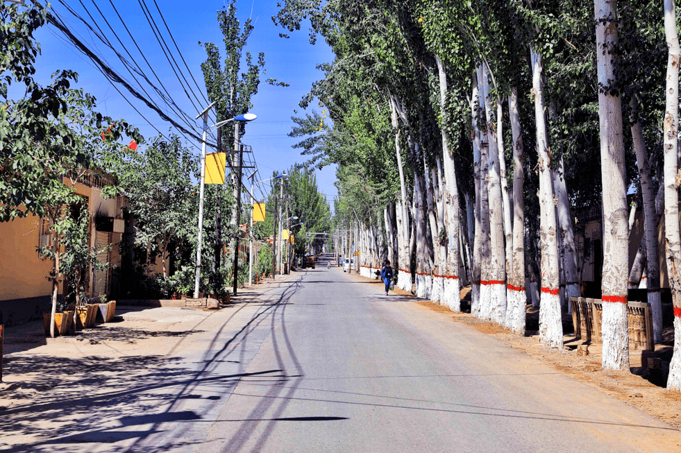 喀什市荒地乡:提升人居环境水平 建设美丽宜居乡村