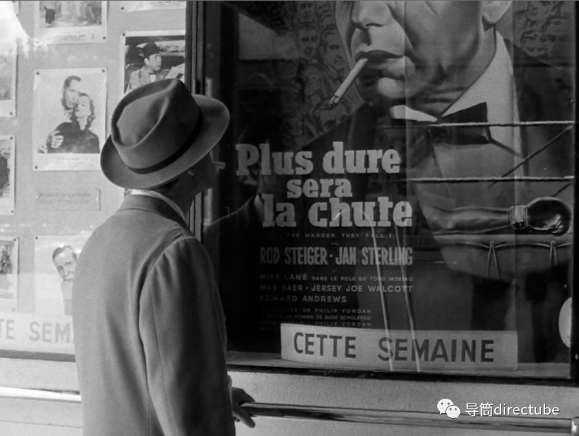 elite|新浪潮,终将离我们远去