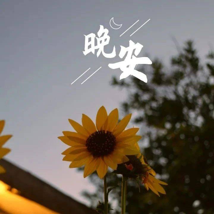 晚安心语正能量温馨图片句子_生活