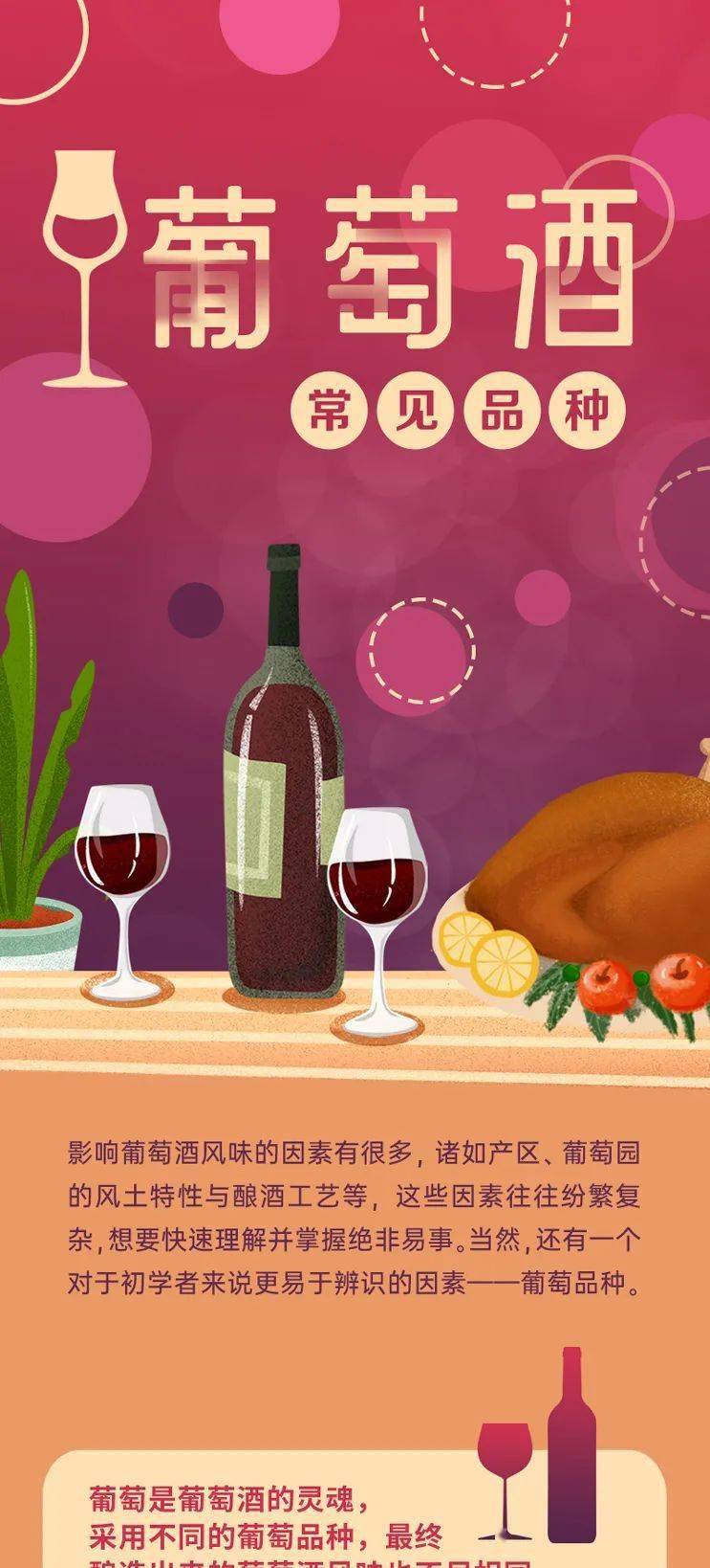 创意作品|科普 || 宁夏最常见的红葡萄酒品种有哪些?