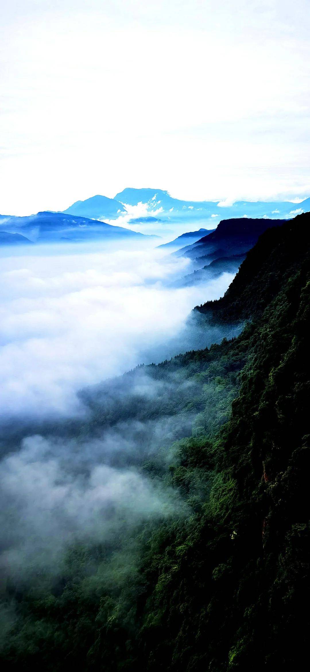 云海翻涌似仙境,随手一拍都是大片!玉屏山太秀了!_图片