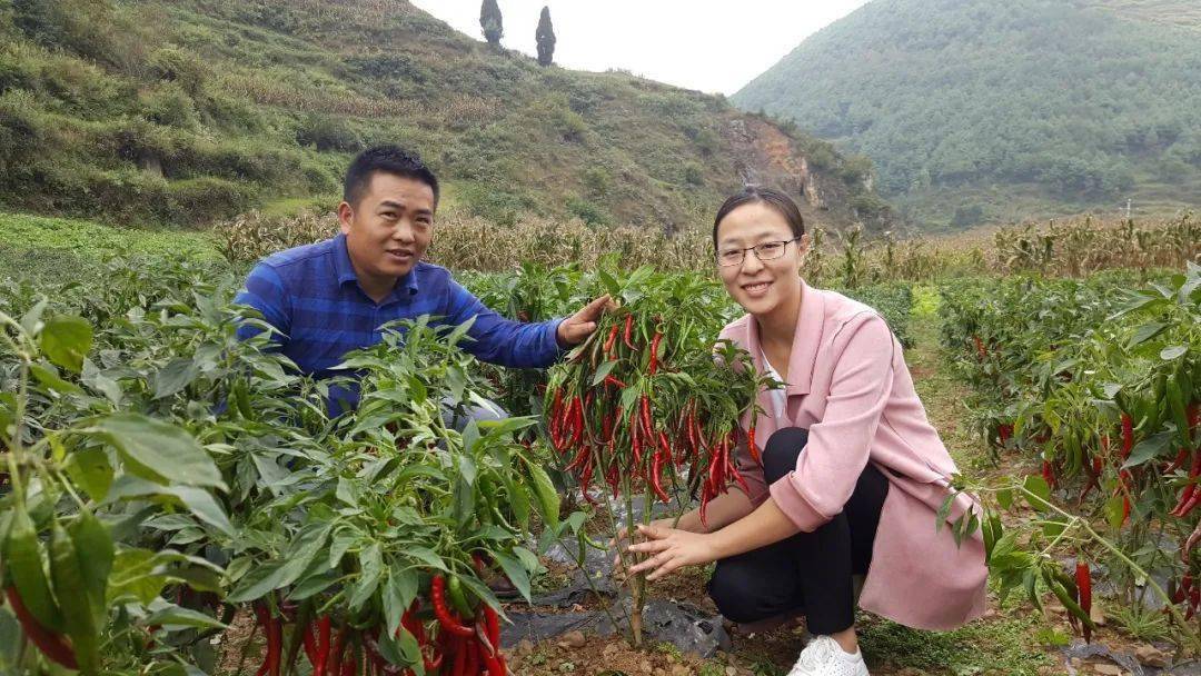 川渝首届乡村女能人展播怀揣着乡土情怀的她们助力乡村振兴