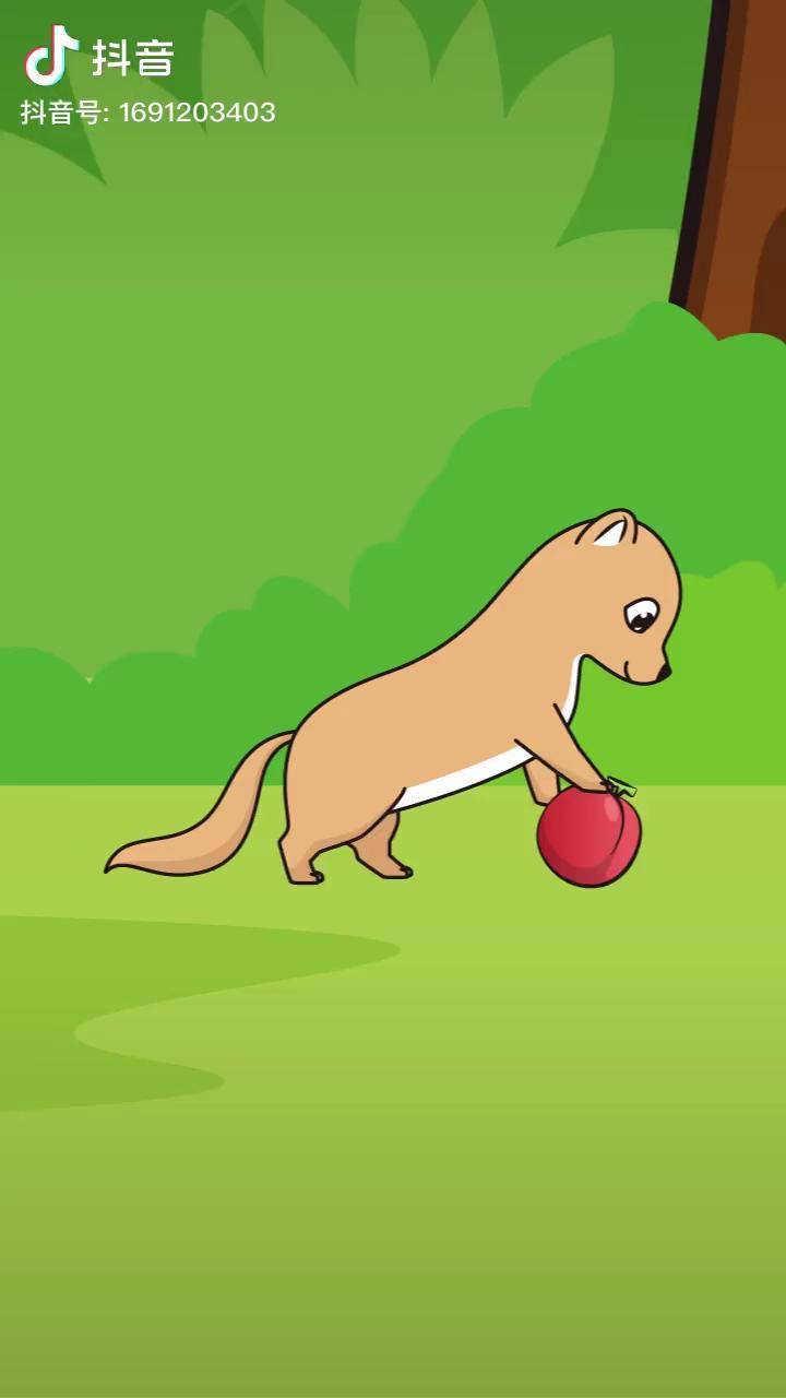 小黄鼠狼也想认识朋友