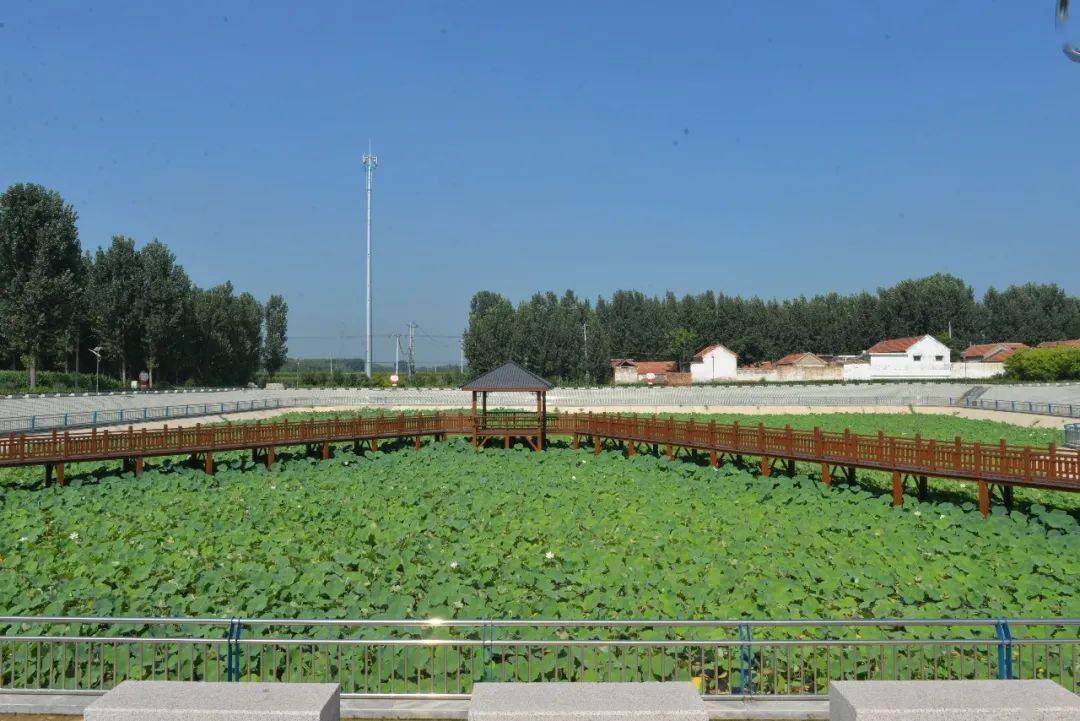 邹平市新时代文明实践中心建设现场观摩团走进魏桥镇