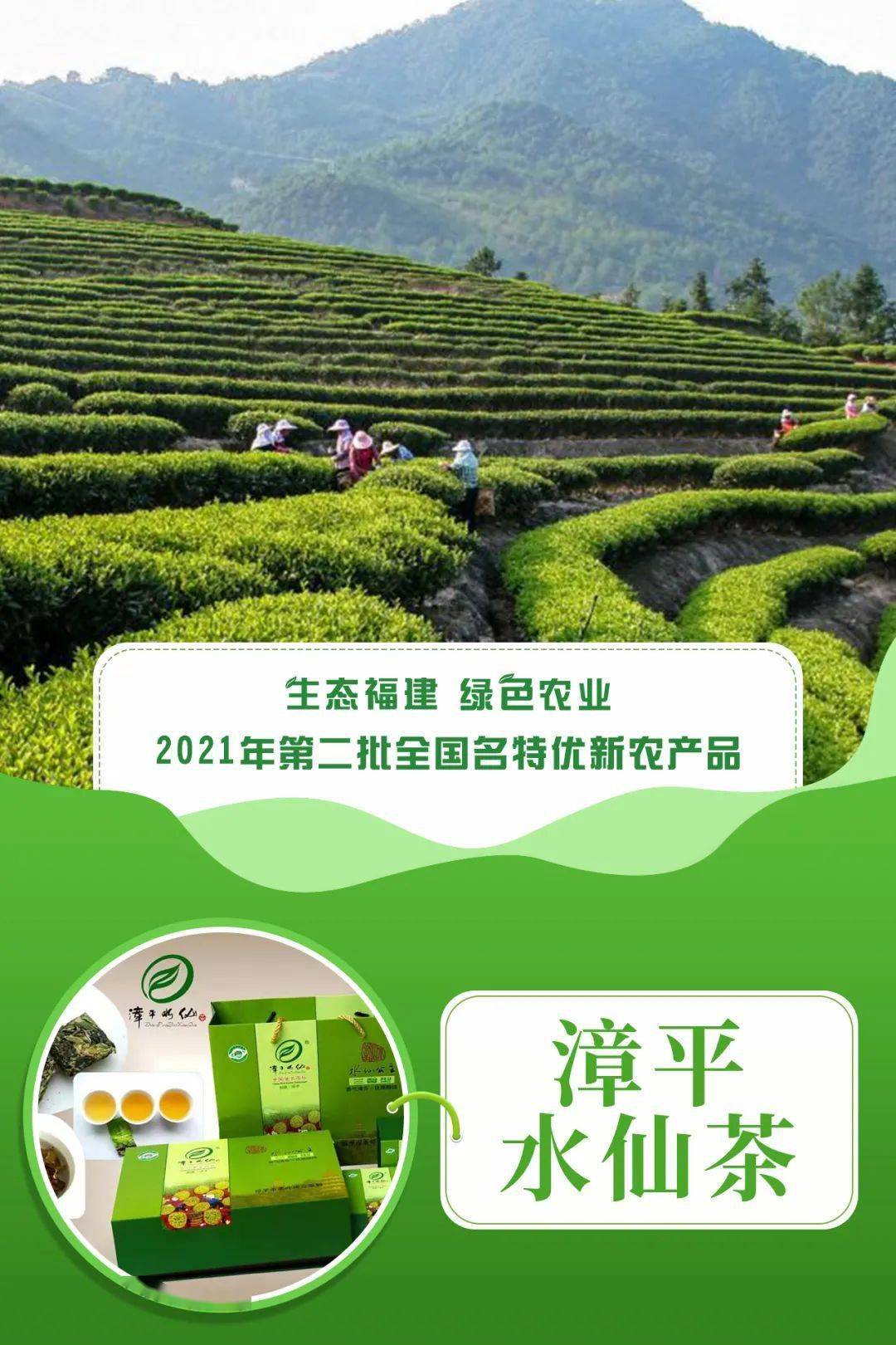 实力上榜国家级名录!龙岩再添4个全国名特优新农产品