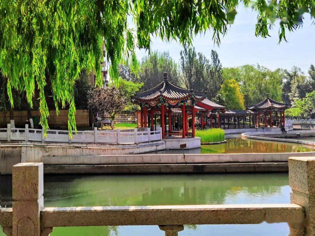 最是橙黄橘绿时!教师节前,与辽阳的美景撞了个满怀