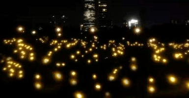 灯谜怎么放在灯笼上 2780465e433140a8802bc2d97e695e05.png