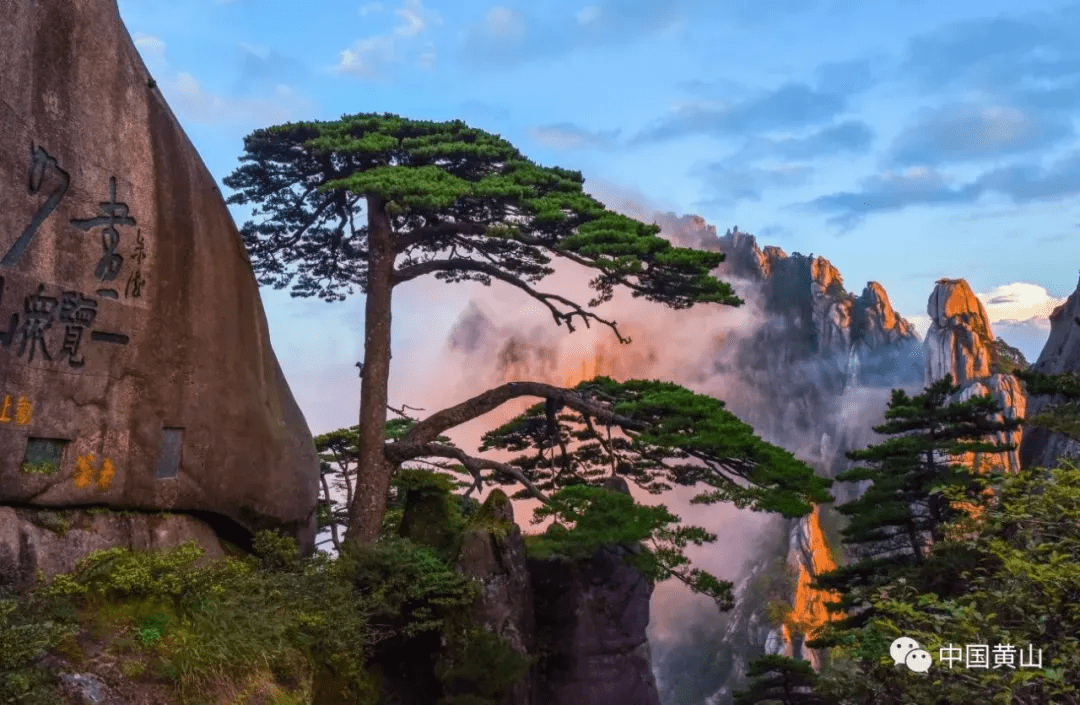 到底几月来黄山风景区能看到最美的秋景看完这篇攻略你就全明白了