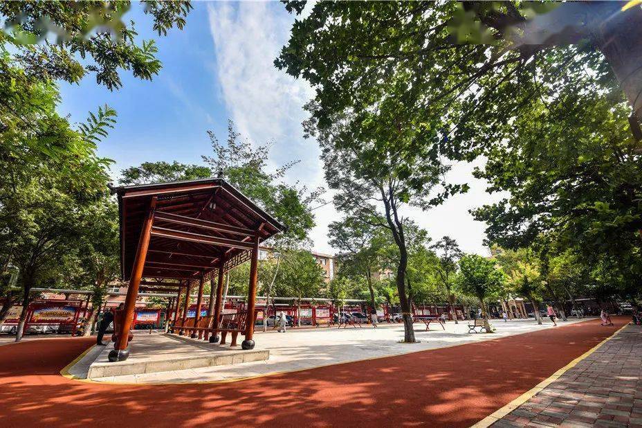 Welfare|【992丨活动】石家庄老小区正在改造中，但是很少人知道这个活动！