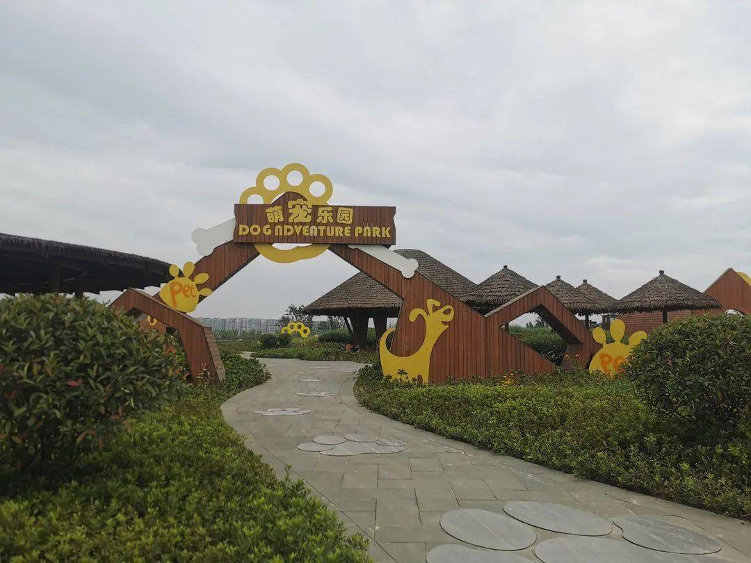 即将完工双流又增一打卡地萌宠主题惹人期待