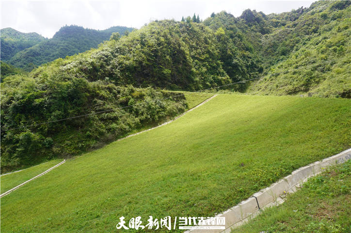 【天眼一线】昔日矿山添绿意 | 务川三坑村重现绿水青山