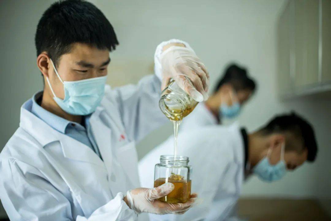 甘肃特产：一碗地道风味的特色美食地图