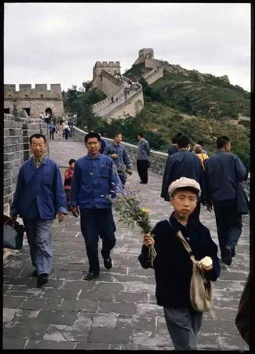 角色|乔家儿女意难平,可能是复款搭种草太多之故