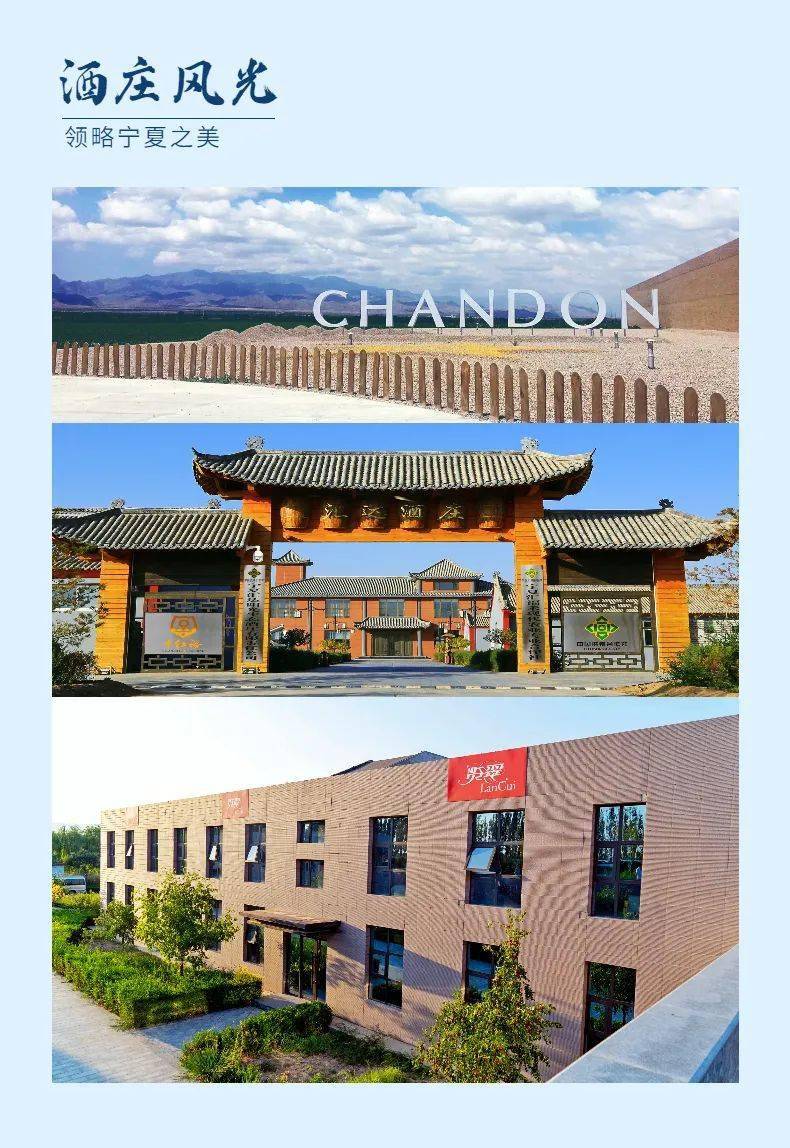 活动|打造葡萄酒之都丨2021中国（宁夏）葡萄酒文化旅游节精彩亮点抢先看~