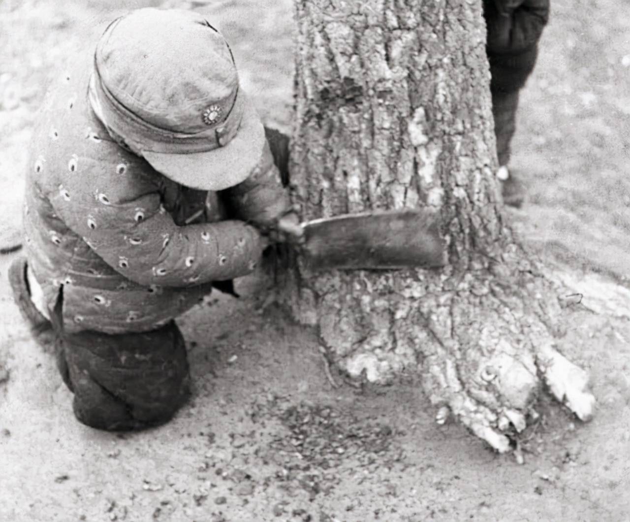而在江苏的宋振平和宋振西回到江苏后不到一年,外祖母便与世长辞了