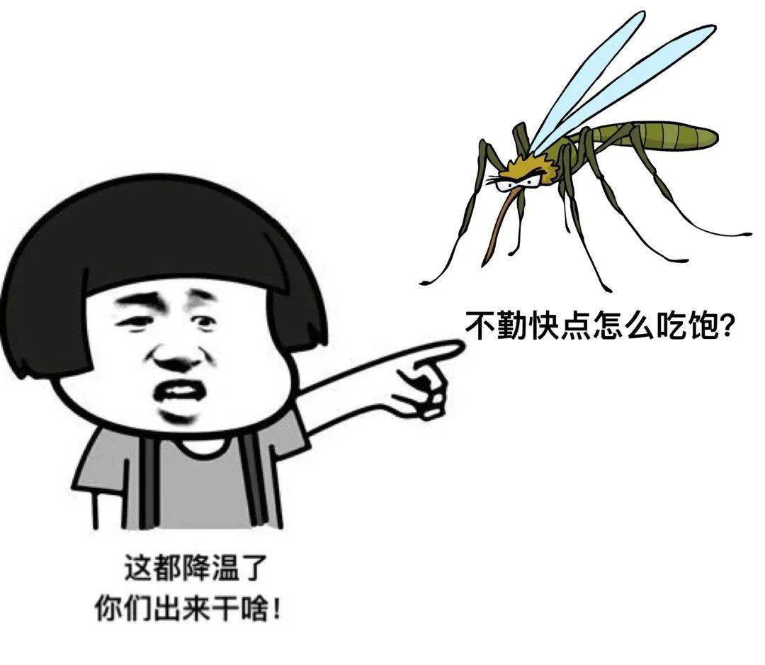 打蚊子搞笑图片