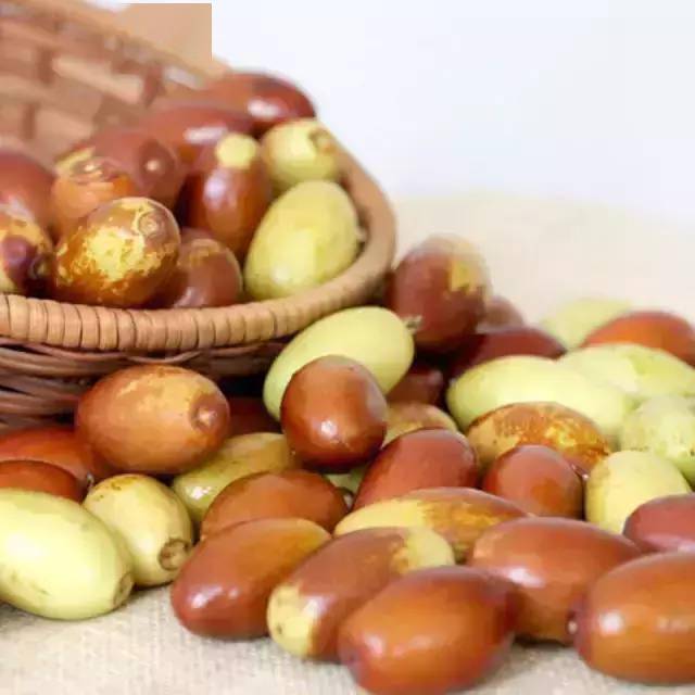 青爱的平谷金海湖镇大枣采摘正当时