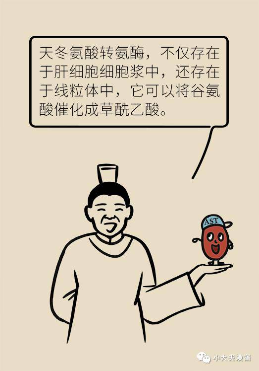 肝功能|肝功转氨酶高就是肝硬化？未必，这几个指标才是重点