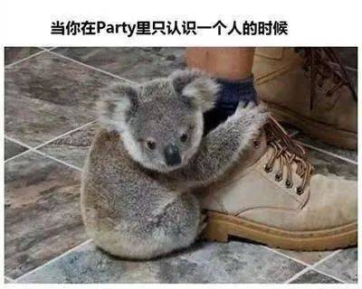 网络|拯救一个“社恐”，只需要......