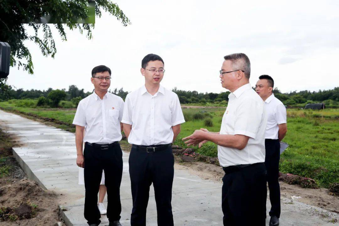 刘冲到会文潭牛调研"三农"重点工作