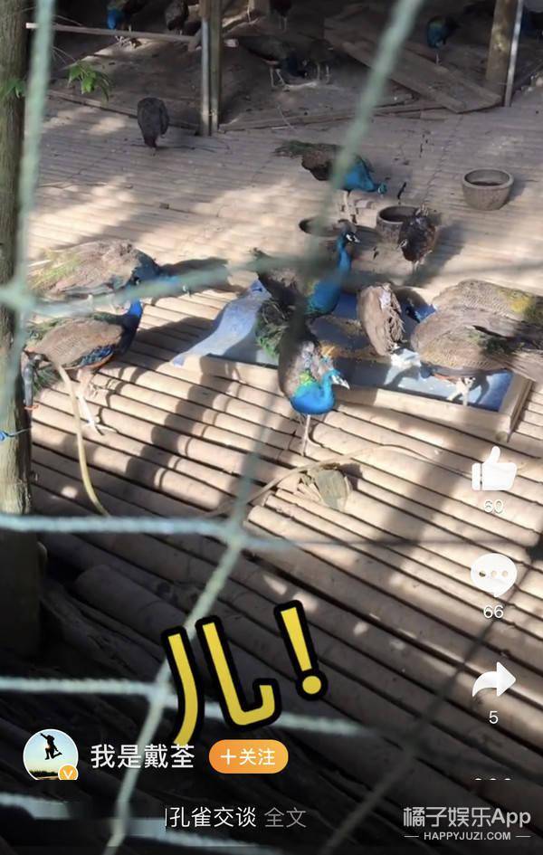 工作狂|还记得《悟空》的原唱戴荃吗？这状态哪像42？