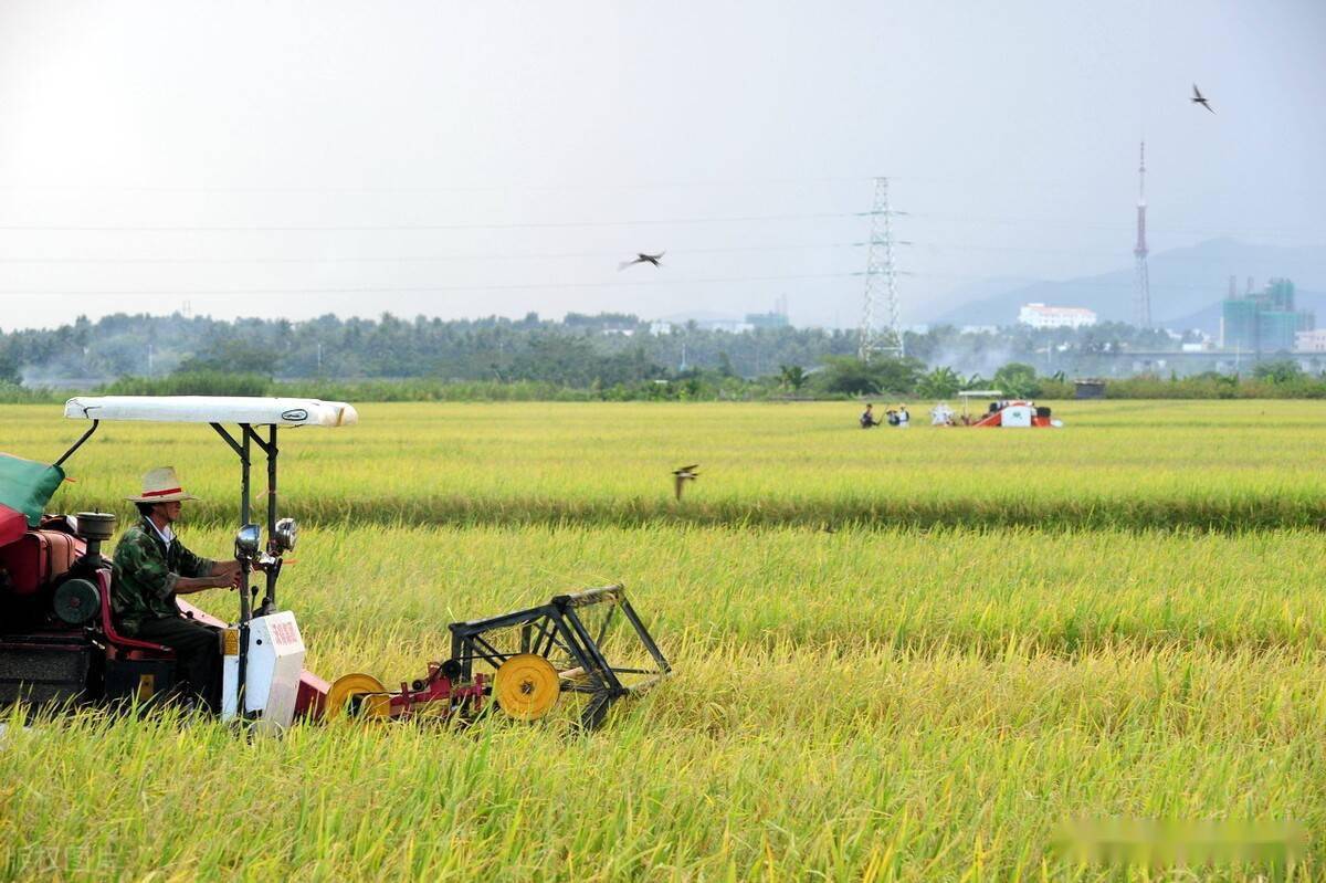 这样一来,种田大户,使用农业现代化手段,全面使用机械化作业,能够种植