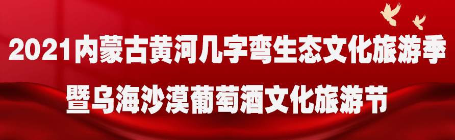葡萄藤|乌海：葡萄藤上结“金果” 产业融合促振兴