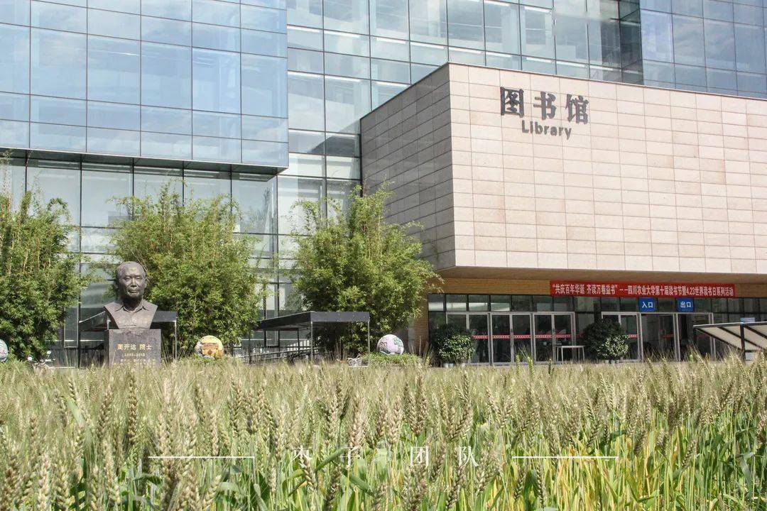 许多萌新与川农的第一次见面就是在这里进行的,红墙绿顶,姿态傲然.