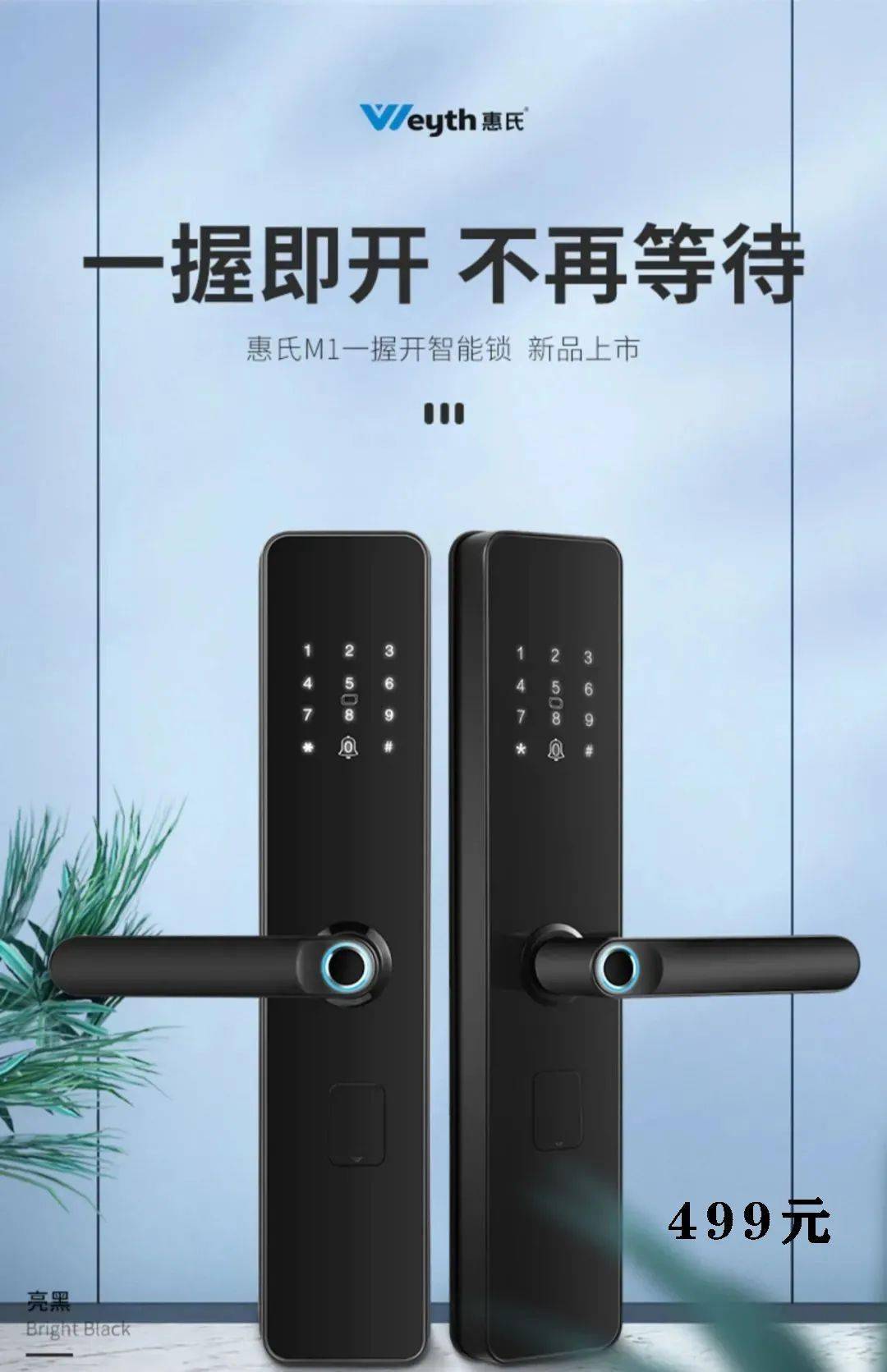 可凭小票以499元领取价值2099元的惠氏智能门锁(包安装)