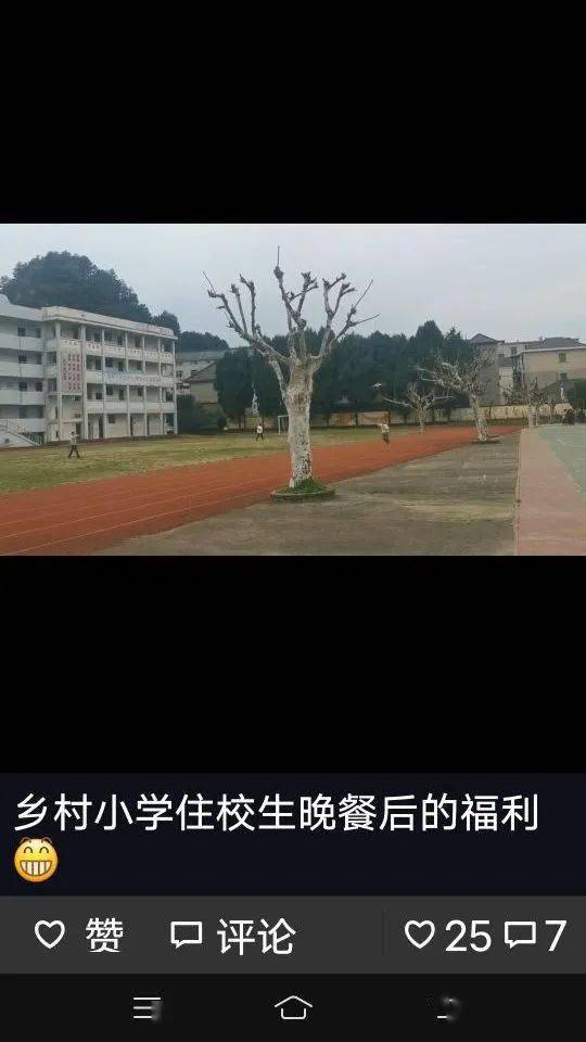 推送单位:开化县杨林镇中心小学 一审:校宣传信息组 二审:曹晗瑛 盛