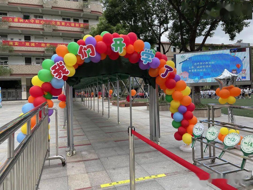 石鼓路小学西校区热闹非凡,气球拱门色彩鲜艳,银杏树下迎来了一年级的