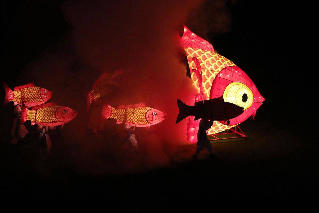 【非遗】沙头角鱼灯舞:鱼灯熠熠 翩翩起舞