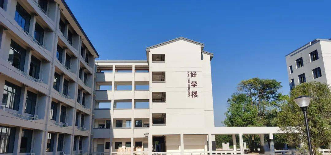 新学期新气象⑤武义县新校风采