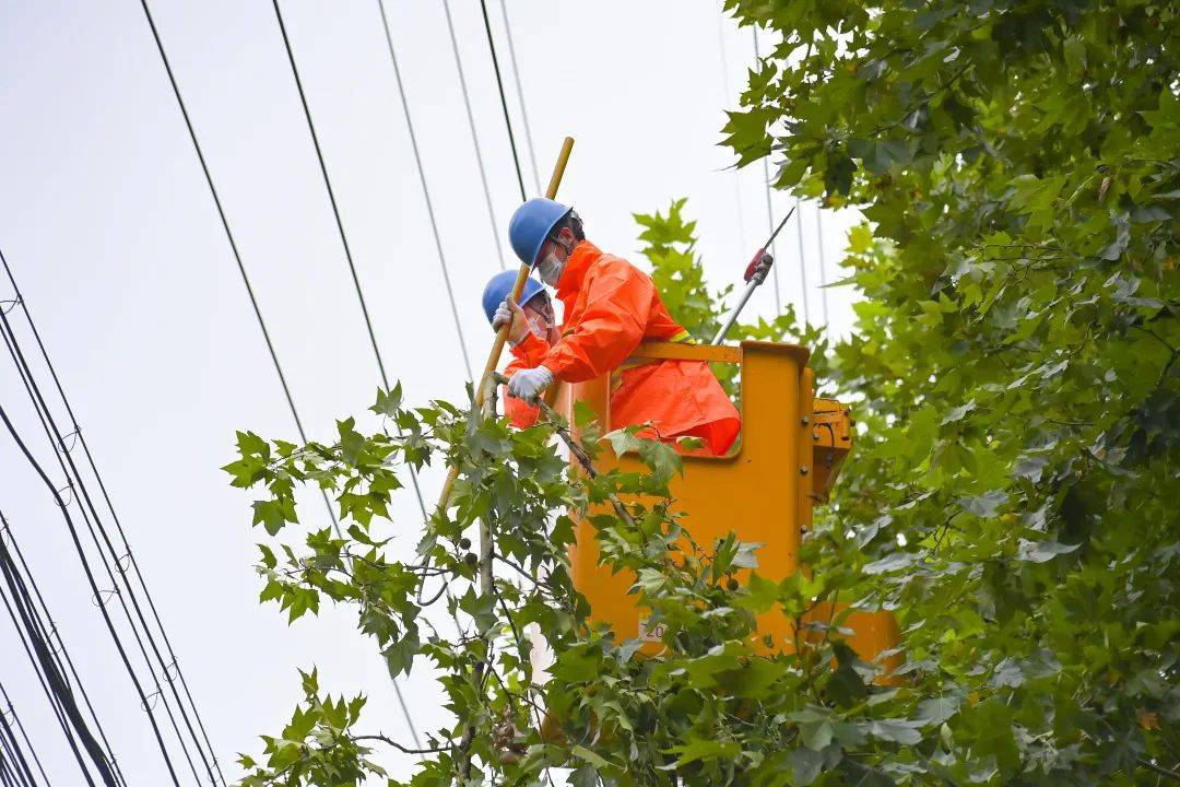 供电部门紧急修剪树枝确保台风期间电力运行安全