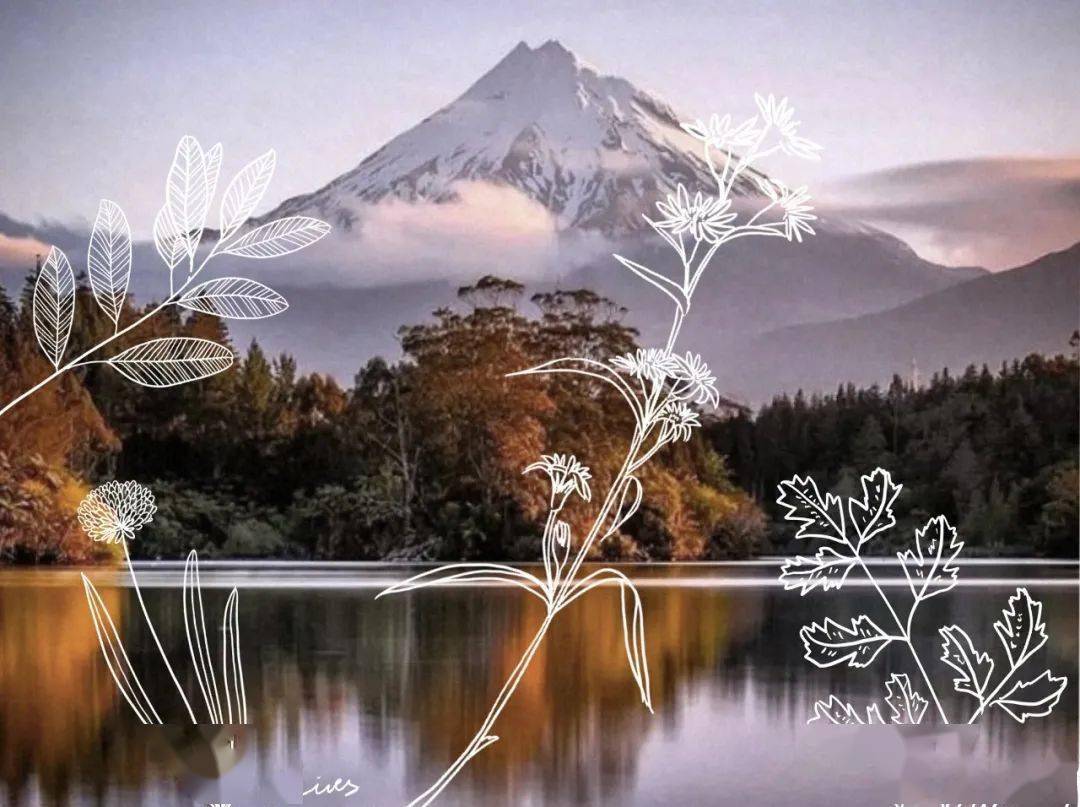 new|What's new | 请查收这份抗老新思路