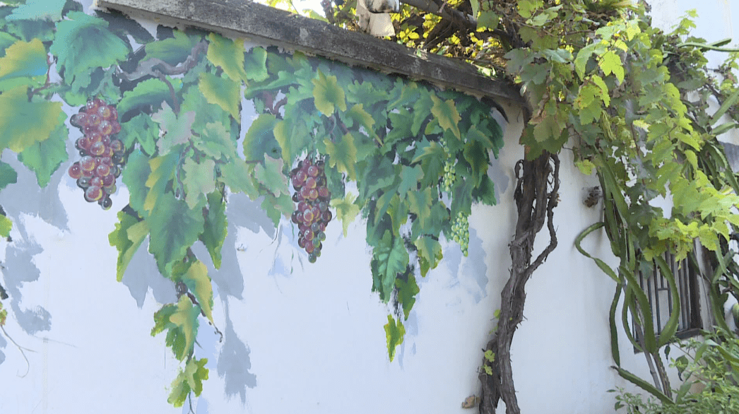 3d墙绘扮靓环境攀枝花这里的乡村穿新衣