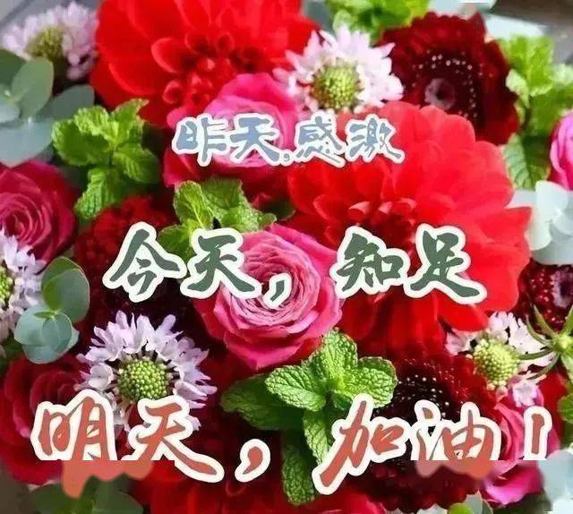 2021最新早上好图片带字表情包祝福祝大家天天好运平安健康幸福