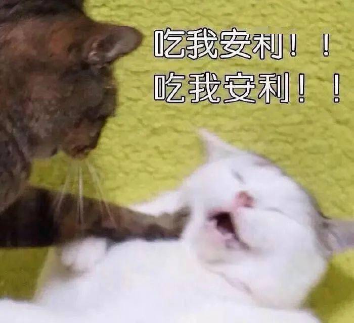 表情加文字的评论区 10d0e1bb4fa942d2a5973d3dfae5f741.jpeg
