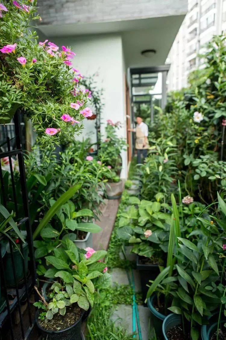 種植土壤,園藝工具,花盆 ,花肥,各種買 買 買,房子還沒裝修,花園裡